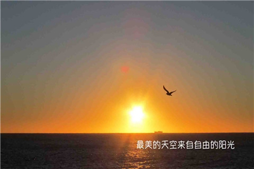 梦见修车