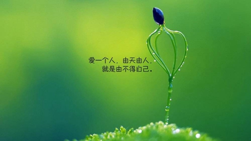 做梦梦见牛奶