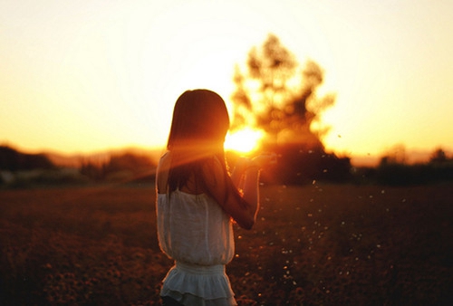 做梦梦见动物展览会
