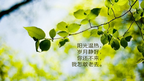 梦见伴侣 爱人