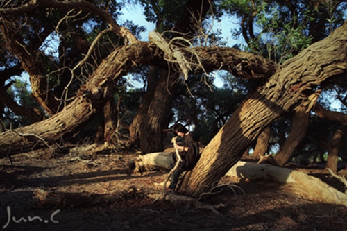 简单网名2个字个性