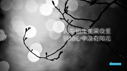 简单低调大气的网名