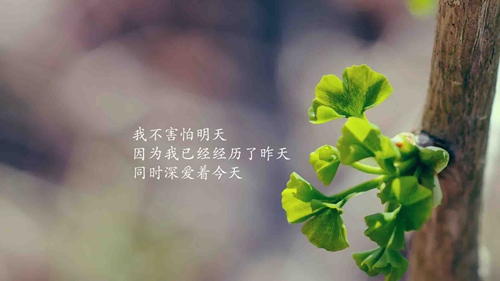 酷一点的网名简单一对