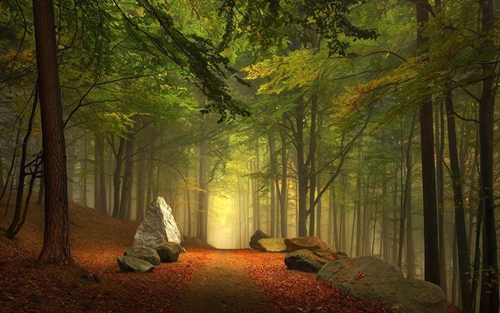 伤感又简单的网名