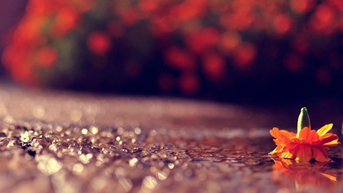 男网名简单伤感