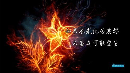 梦见彩票是什么意思
