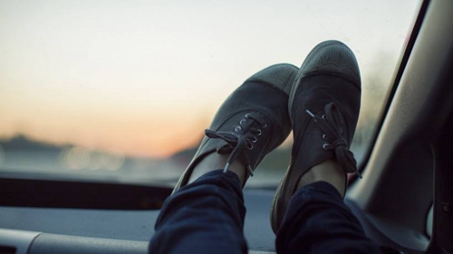 梦见骑在猪背上
