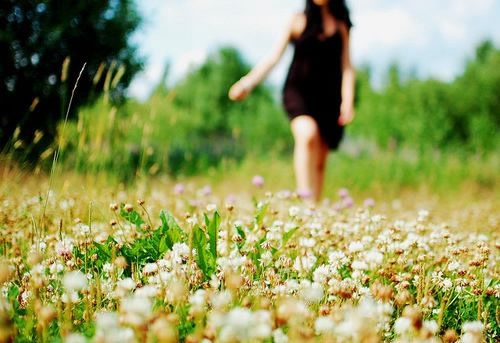 梦见鸡在啄食饲料