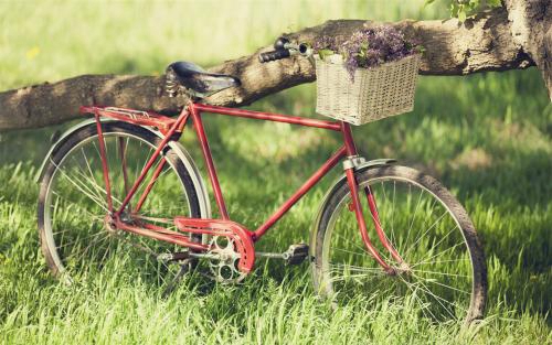 梦见打蛇是什么预兆
