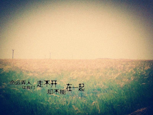 梦见隐秘的事物