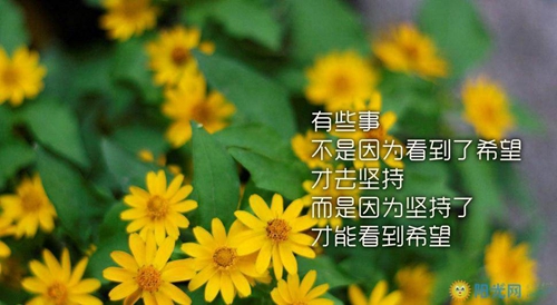 表示看不惯那些高傲人的网名