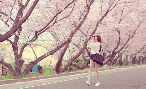鲸对应的情侣网名