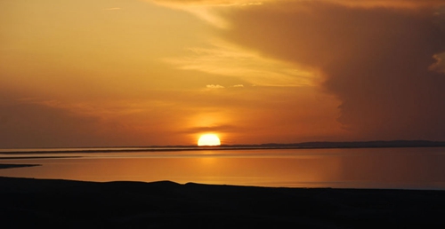 招标书格式网名女温柔