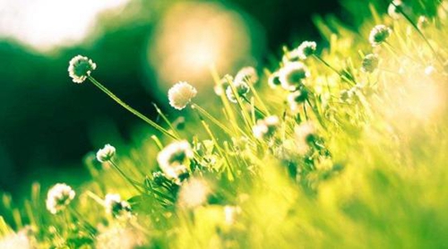带有举字网名有哪些