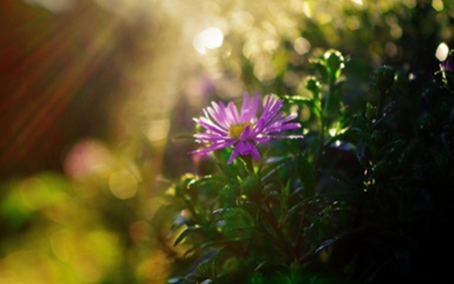 动漫可爱网名闺蜜