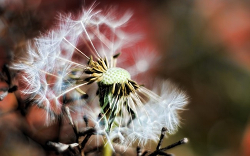 悲伤网名昵称1个字