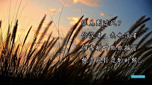 农村吃货快手网名