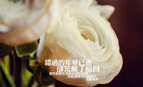 抖音网名霸气高冷女