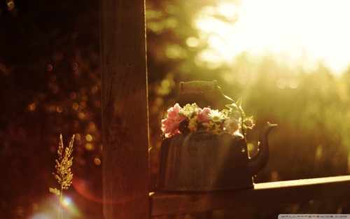 那些年用过的情侣网名