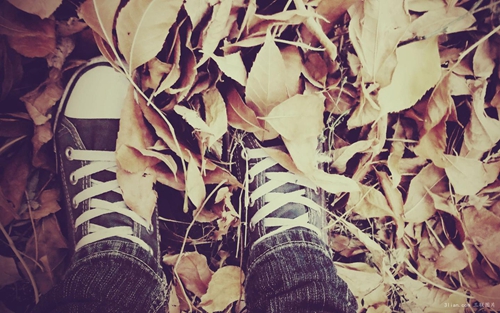 毛氏女新生儿缺木取什么名字好（狮子座）