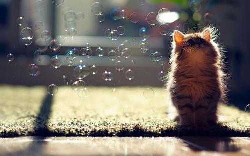男生网名有哪些特殊的