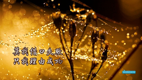 网名伤感女生大全 网名伤感女生大全